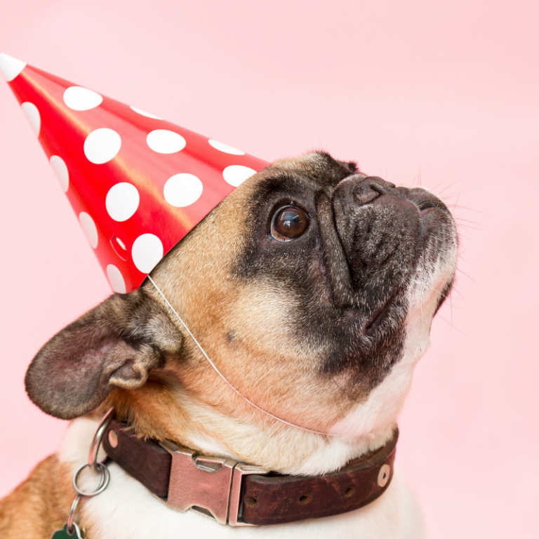 Best Gifts Men Actually Want When Stuck in Hospital My Life Nurse