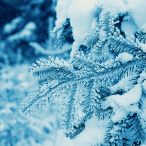 13 Simple ways to cure the holiday blues SM