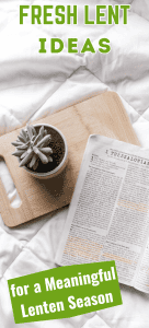 Bible open to Thessalonians on wooden board with small succulent plant on white quilted comforter