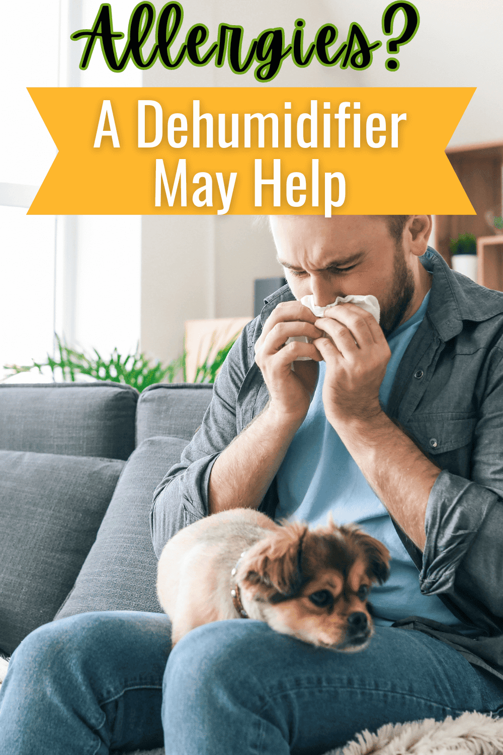 How Well Does a Dehumidifier Help with Allergies? My Life Nurse