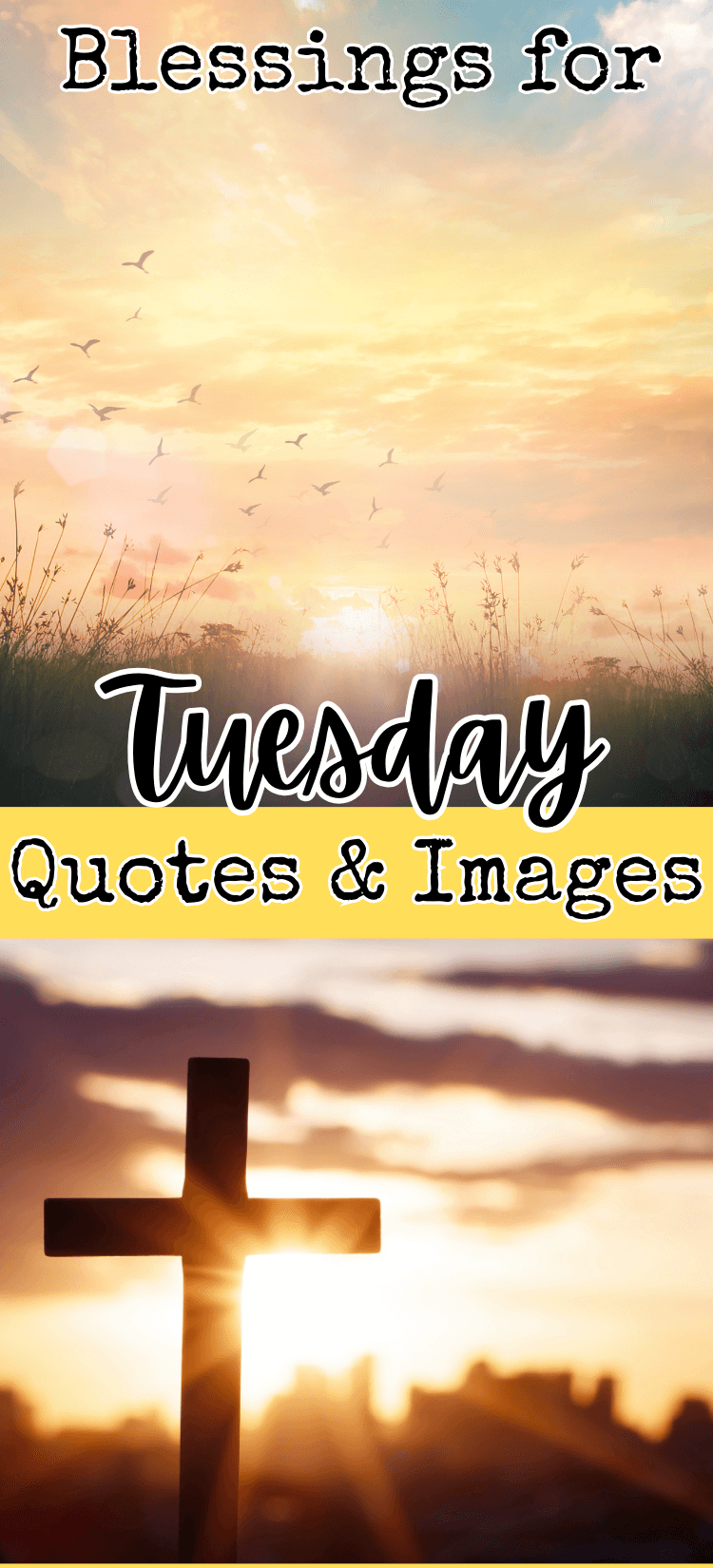 31 Inspirational Good Morning Tuesday Blessings My Life Nurse